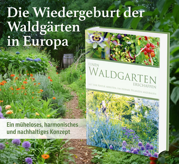 Einen Waldgarten erschaffen