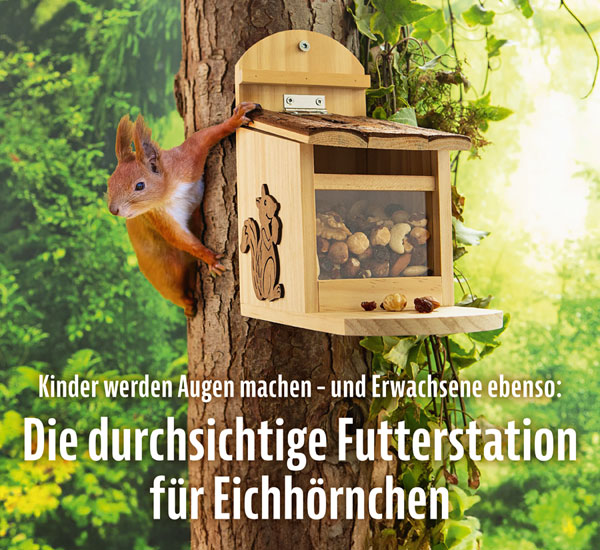 Eichhrnchen-Futterstation