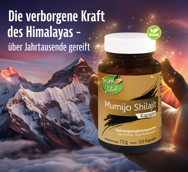 Kopp Vital   Mumijo Shilajit Kapseln