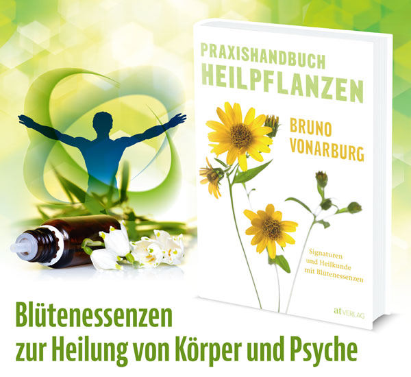 Praxishandbuch Heilpflanzen