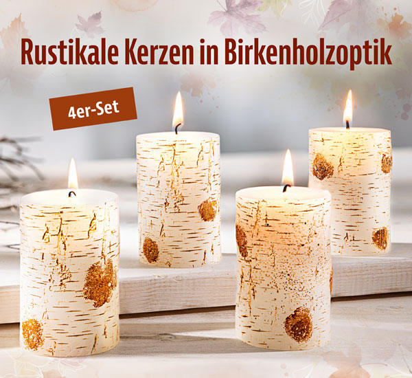 4er-Set Stumpenkerzen Birke