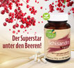 Kopp Vital   Schisandra Kapseln_small_zusatz