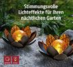 Solar-Lotusblume - Fr Bastler_small_zusatz